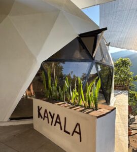 WhatsApp Image 2025-06-02 at 11.42.03